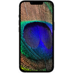 گوشی موبایل اپل مدل iPhone 13 Pro A2413 دو سیم‌ کارت ظرفیت 1 ترابایت و 6 گیگابایت رم